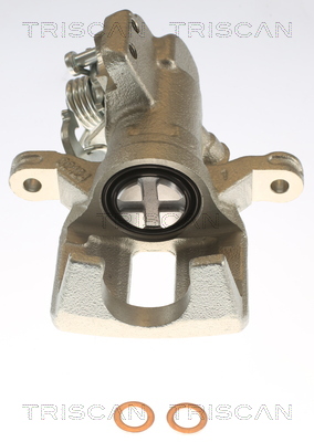 TRISCAN 8175 40207 Bremssattel