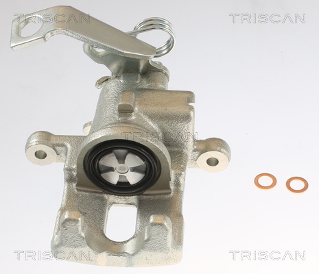 TRISCAN 8175 40209 Bremssattel
