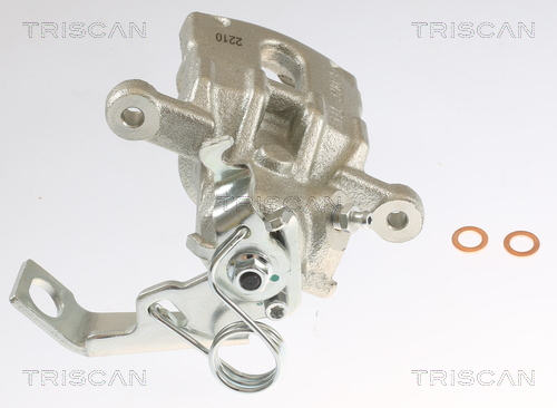 TRISCAN 8175 40209 Bremssattel