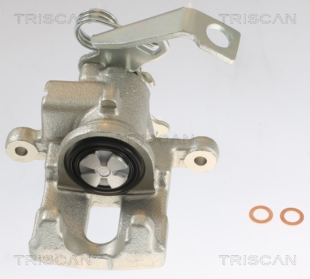TRISCAN 8175 40210 Bremssattel