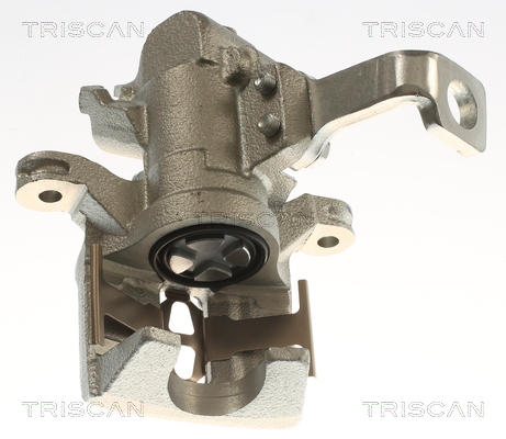 TRISCAN 8175 40213 Bremssattel
