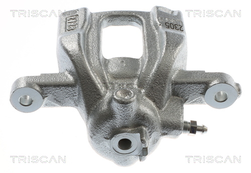 TRISCAN 8175 40225 Bremssattel