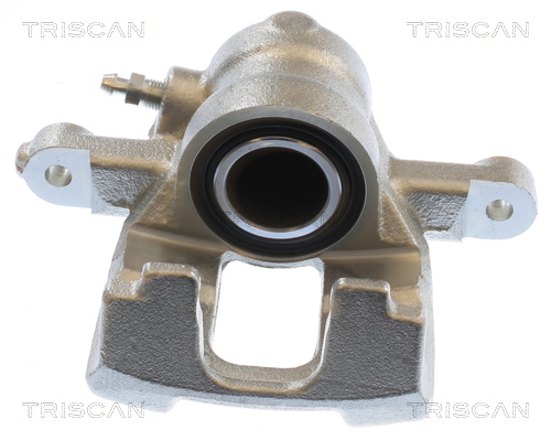 TRISCAN 8175 40226 Bremssattel