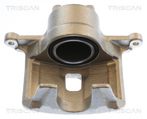 TRISCAN 8175 42105 Bremssattel