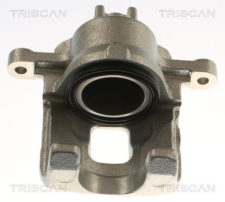 TRISCAN 8175 42205 Bremssattel