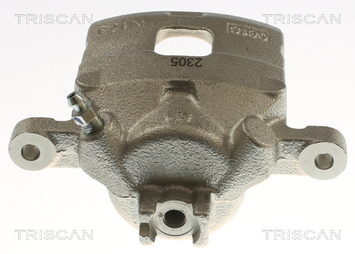 TRISCAN 8175 42205 Bremssattel