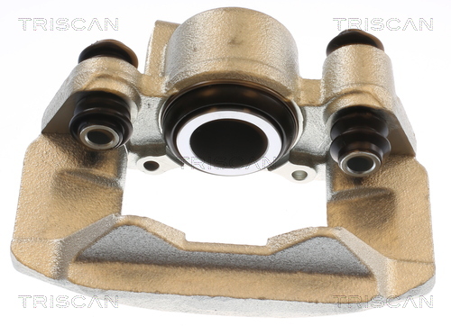 TRISCAN 8175 42208 Bremssattel