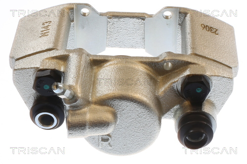 TRISCAN 8175 42208 Bremssattel