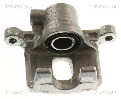 TRISCAN 8175 42210 Bremssattel