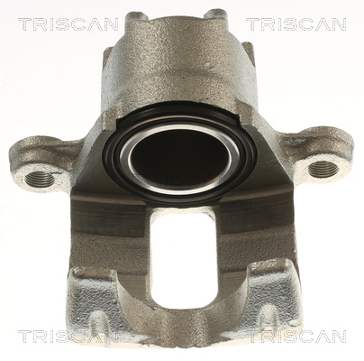 TRISCAN 8175 42216 Bremssattel