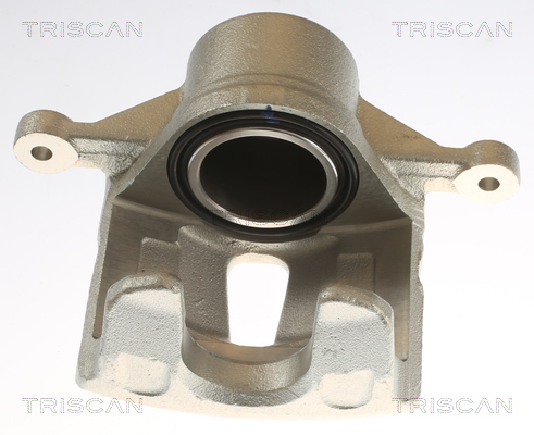 TRISCAN 8175 43103 Bremssattel