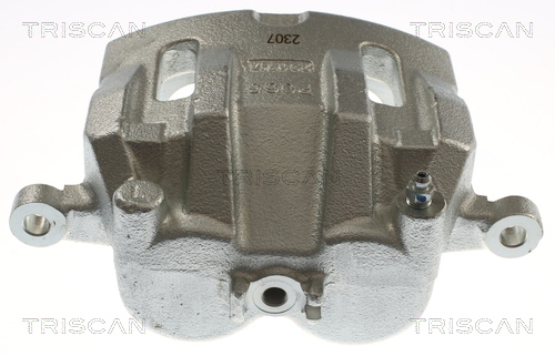 TRISCAN 8175 43121 Bremssattel