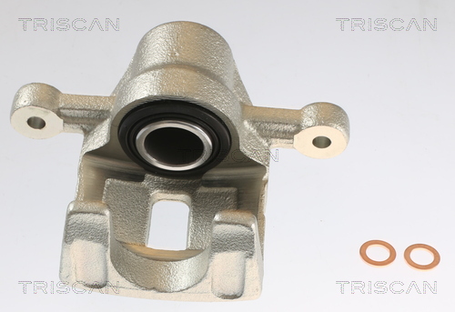TRISCAN 8175 43205 Bremssattel