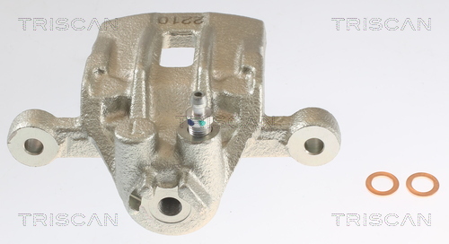 TRISCAN 8175 43205 Bremssattel