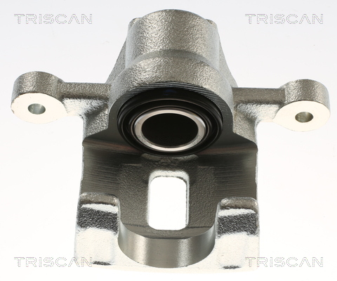 TRISCAN 8175 43209 Bremssattel