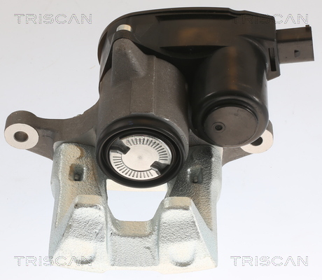 TRISCAN 8175 43213 Bremssattel