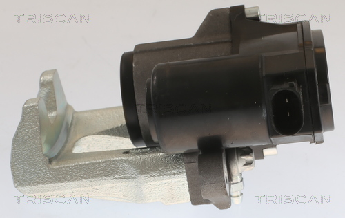 TRISCAN 8175 43213 Bremssattel