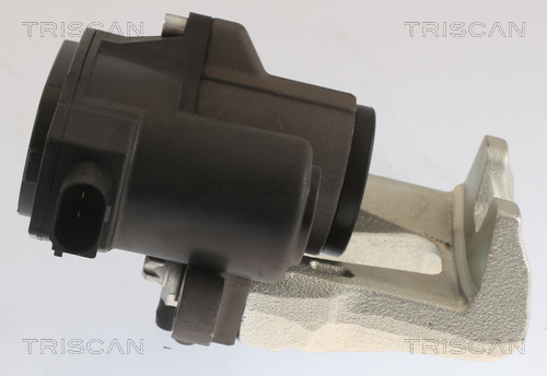 TRISCAN 8175 43214 Bremssattel