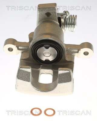 TRISCAN 8175 43216 Bremssattel