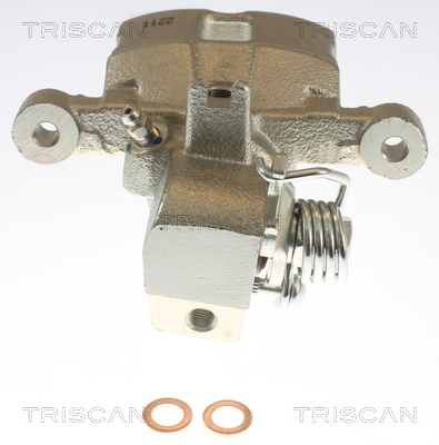 TRISCAN 8175 43216 Bremssattel