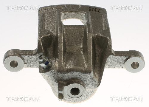 TRISCAN 8175 43229 Bremssattel