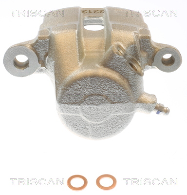 TRISCAN 8175 50109 Bremssattel