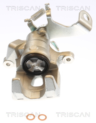 TRISCAN 8175 50213 Bremssattel