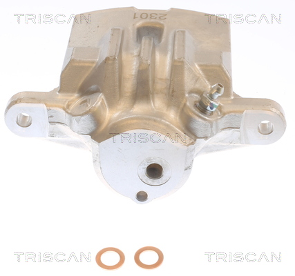 TRISCAN 8175 68207 Bremssattel
