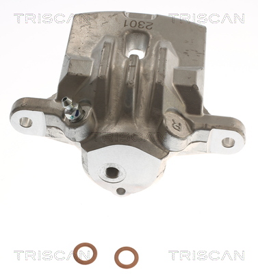 TRISCAN 8175 68208 Bremssattel