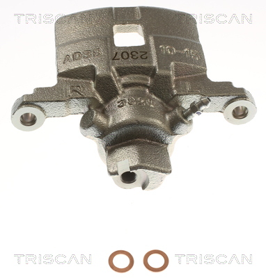 TRISCAN 8175 68209 Bremssattel