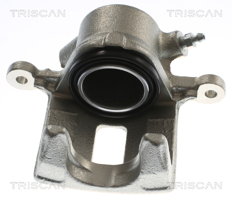 TRISCAN 8175 69101 Bremssattel