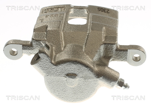 TRISCAN 8175 69101 Bremssattel