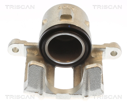 TRISCAN 8175 69103 Bremssattel