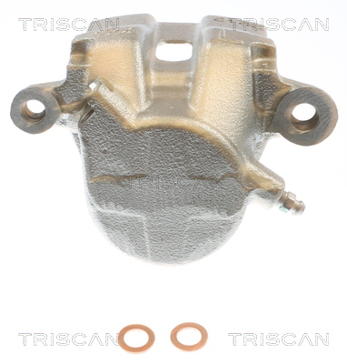 TRISCAN 8175 69107 Bremssattel