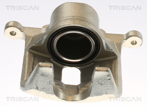 TRISCAN 8175 69109 Bremssattel