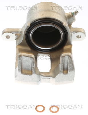 TRISCAN 8175 69113 Bremssattel