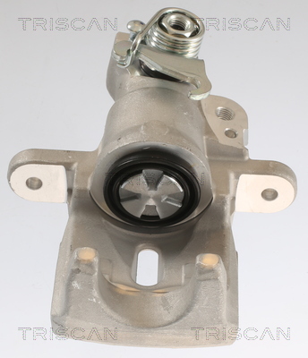 TRISCAN 8175 69201 Bremssattel