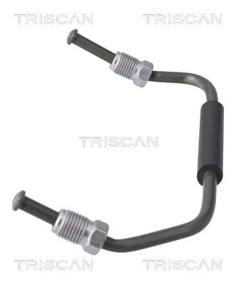 TRISCAN 8175 8101 Bremssattel