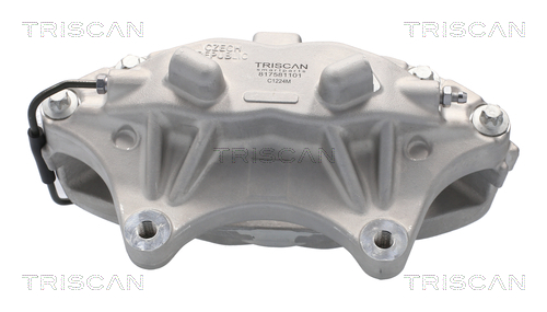 TRISCAN 8175 81101 Bremssattel
