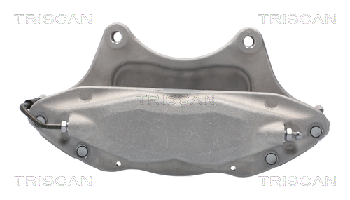 TRISCAN 8175 81101 Bremssattel