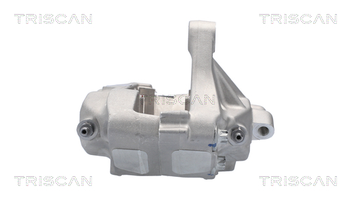 TRISCAN 8175 81101 Bremssattel