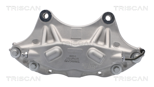 TRISCAN 8175 81101 Bremssattel