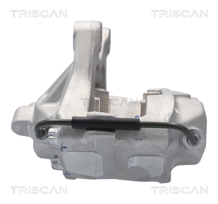 TRISCAN 8175 81101 Bremssattel
