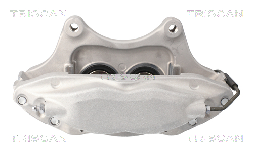 TRISCAN 8175 81102 Bremssattel