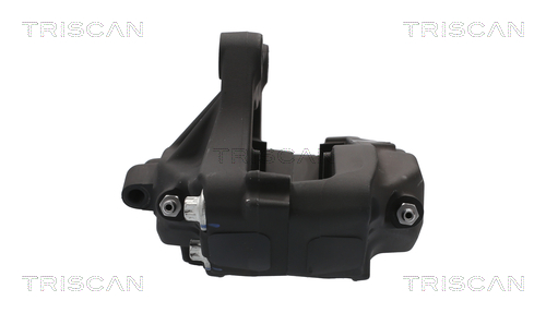 TRISCAN 8175 81102 Bremssattel