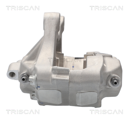 TRISCAN 8175 81102 Bremssattel