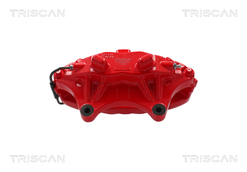 TRISCAN 8175 81105 Bremssattel