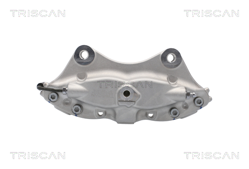 TRISCAN 8175 81202 Bremssattel