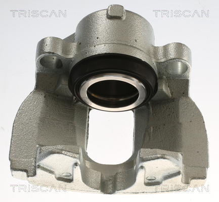 TRISCAN 8175 82101 Bremssattel