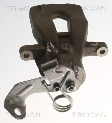 TRISCAN 8175 82202 Bremssattel